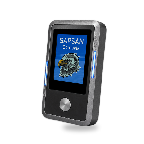SAPSAN Domovik showing its eagle logo start screen, with blue LED strips on the sides