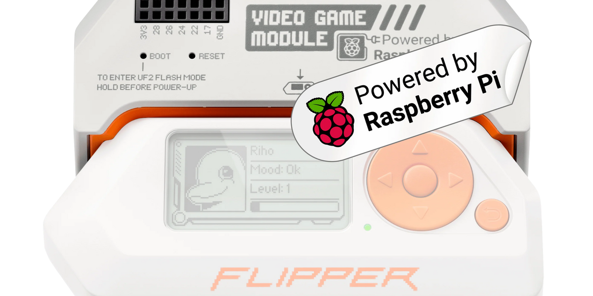 Video Game Module - RP2040 - for Flipper Zero | Sapsan Video Game Module - RP2040 - for Flipper Zero | Sapsan